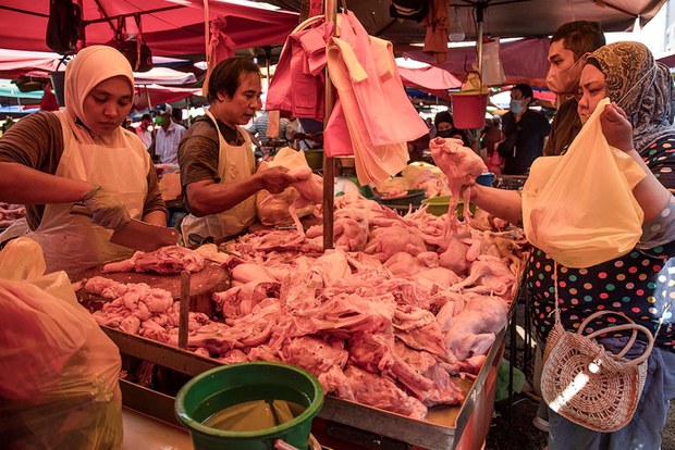 Malaysia tamatkan subsidi ayam pada 1 Nov, subsidi telur diteruskan