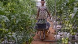 Malaysia Longgarkan Penguatkuasaan Akta Perumahan Warga Asing Sehingga Disember