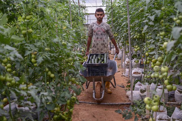 Malaysia Longgarkan Penguatkuasaan Akta Perumahan Warga Asing Sehingga Disember Malaysia Longgarkan Penguatkuasaan Akta Perumahan Warga Asing Sehingga Disember