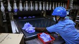Jabatan Kastam Amerika Syarikat Arah Sita Sarung Tangan Top Glove