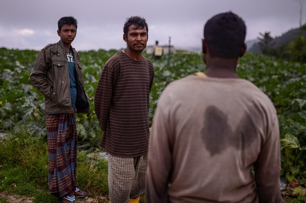 180814-MY-BD-Migrantworkers1000.jpg 180814-MY-BD-Migrantworkers1000.jpg