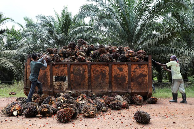 Amerika Syarikat tarik balik sekatan import produk minyak sawit konglomerat Malaysia Amerika Syarikat tarik balik sekatan import produk minyak sawit konglomerat Malaysia