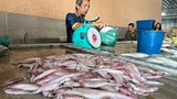 Nelayan Malaysia gesa kerajaan ambil tindakan keras terhadap penceroboh warga Vietnam