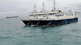 MY-CH-boats-boats1000.jpg