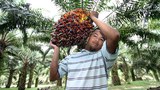 181220-MY-Felda1000.jpg