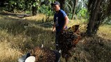 100 migran Indonesia dari wilayah sama mati di luar negara pada 2023