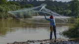 Cuaca panas: Hasil tangkapan ikan terjejas, terumbu karang berisiko luntur, kata pakar