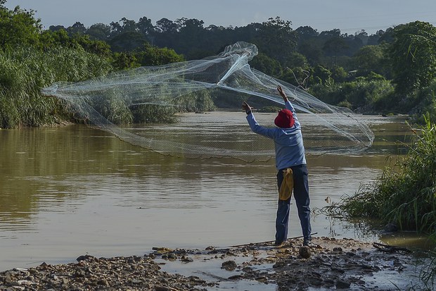 Cuaca panas: Hasil tangkapan ikan terjejas, terumbu karang berisiko luntur, kata pakar Cuaca panas: Hasil tangkapan ikan terjejas, terumbu karang berisiko luntur, kata pakar