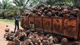Selepas Tandatangan Protokol ILO, Malaysia Wajib Hapuskan Buruh Paksa