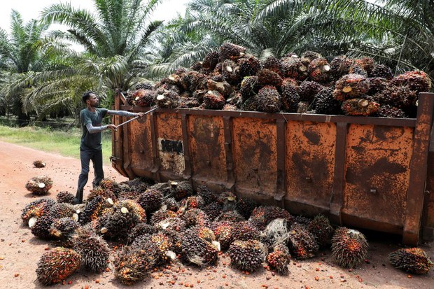 Selepas Tandatangan Protokol ILO, Malaysia Wajib Hapuskan Buruh Paksa