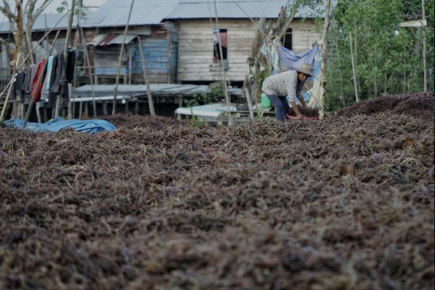 Tuntutan sempadan: Malaysia perlu buat persiapan lebih rapi sebelum berunding Tuntutan sempadan: Malaysia perlu buat persiapan lebih rapi sebelum berunding