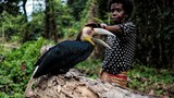 Mahkamah Tinggi Malaysia Lanjut Injunksi Kes Tanah Adat Orang Asli Kelantan