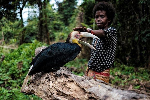 Mahkamah Tinggi Malaysia Lanjut Injunksi Kes Tanah Adat Orang Asli Kelantan