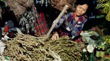 180919-MY-Cannabis620.jpg