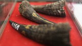 191022-MY-KH-wildlife-smuggling1000.jpg