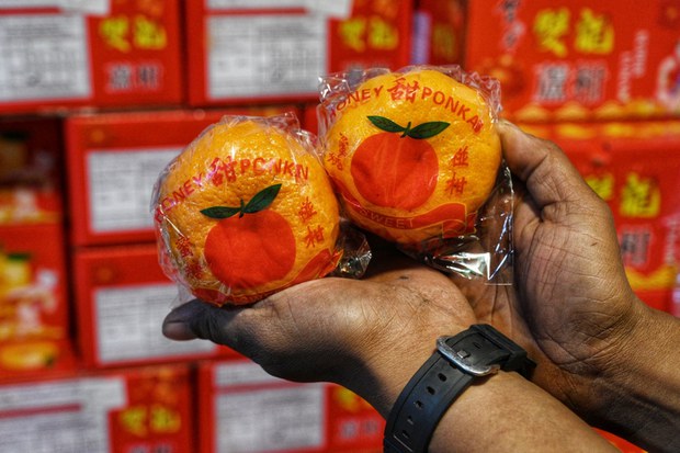 Limau mandarin naik harga, lokam ‘tetap di hati’ menjelang Tahun Baru Cina