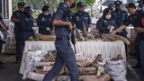 Rakyat Malaysia dalang penyeludupan hidupan liar di sekitar Asia didakwa di New York