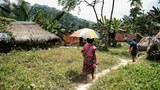Mahkamah Benarkan Permohonan Perintah Injunksi Terhadap Tanah Orang Asli