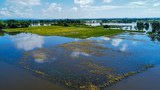 Banjir di Kedah, Perlis musnah tanaman padi bernilai RM50 juta