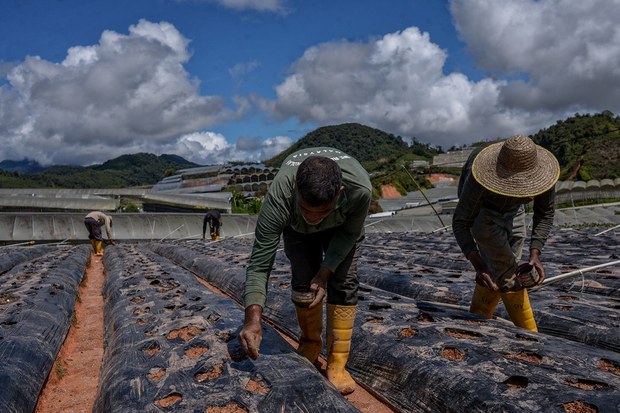 Malaysia Bersetuju Buka Semula Pengambilan Pekerja Asing Untuk Semua Sektor
