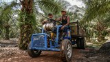 Malaysia kekal Tahap 3 Laporan Pemerdagangan Manusia