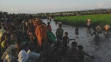 rohingya.jpeg