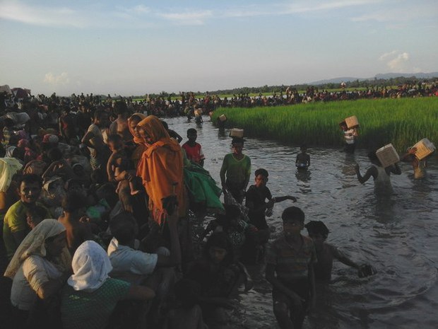 rohingya.jpeg