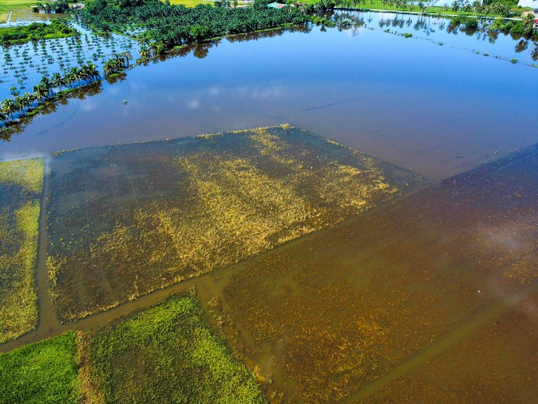 SAWAH_PADI_BANJIR_KEDAH_02.jpg