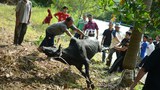 160913-Eid-2.jpg