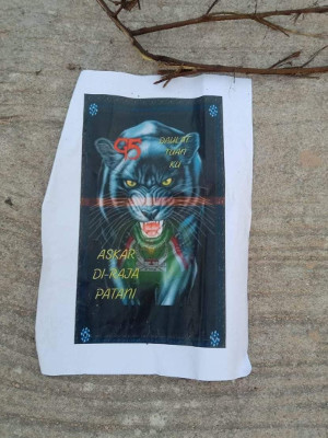 220415-th-deep-south-tiger-leaflet.jpg