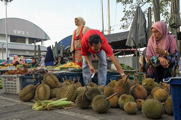 190514-TH-durian-800.jpg