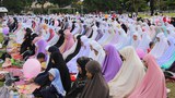 TH-EID1