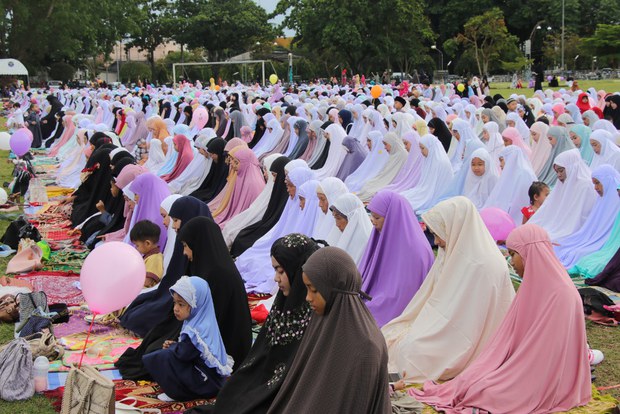 TH-EID1