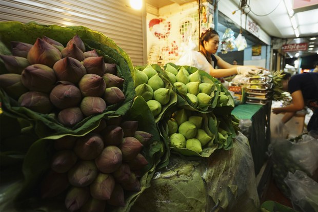 th-flowermarket6